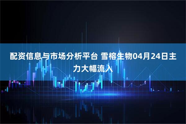 配资信息与市场分析平台 雪榕生物04月24日主力大幅流入