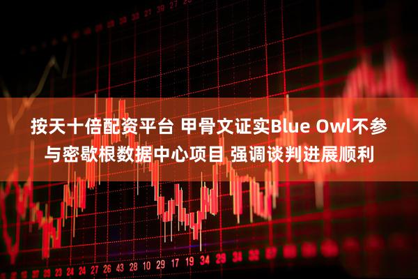 按天十倍配资平台 甲骨文证实Blue Owl不参与密歇根数据中心项目 强调谈判进展顺利