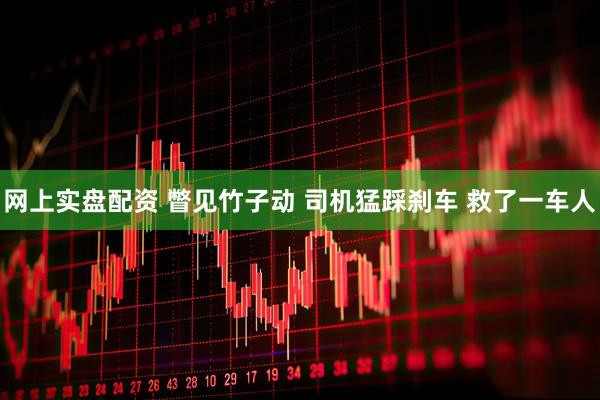 网上实盘配资 瞥见竹子动 司机猛踩刹车 救了一车人