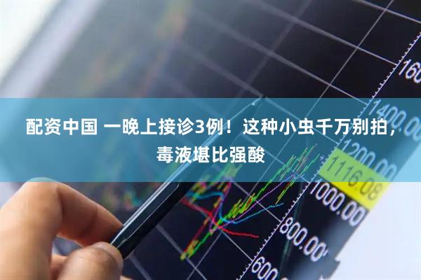 配资中国 一晚上接诊3例！这种小虫千万别拍，毒液堪比强酸