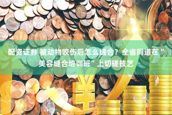 配资证券 被动物咬伤后怎么缝合？全省同道在“美容缝合培训班”上切磋技艺
